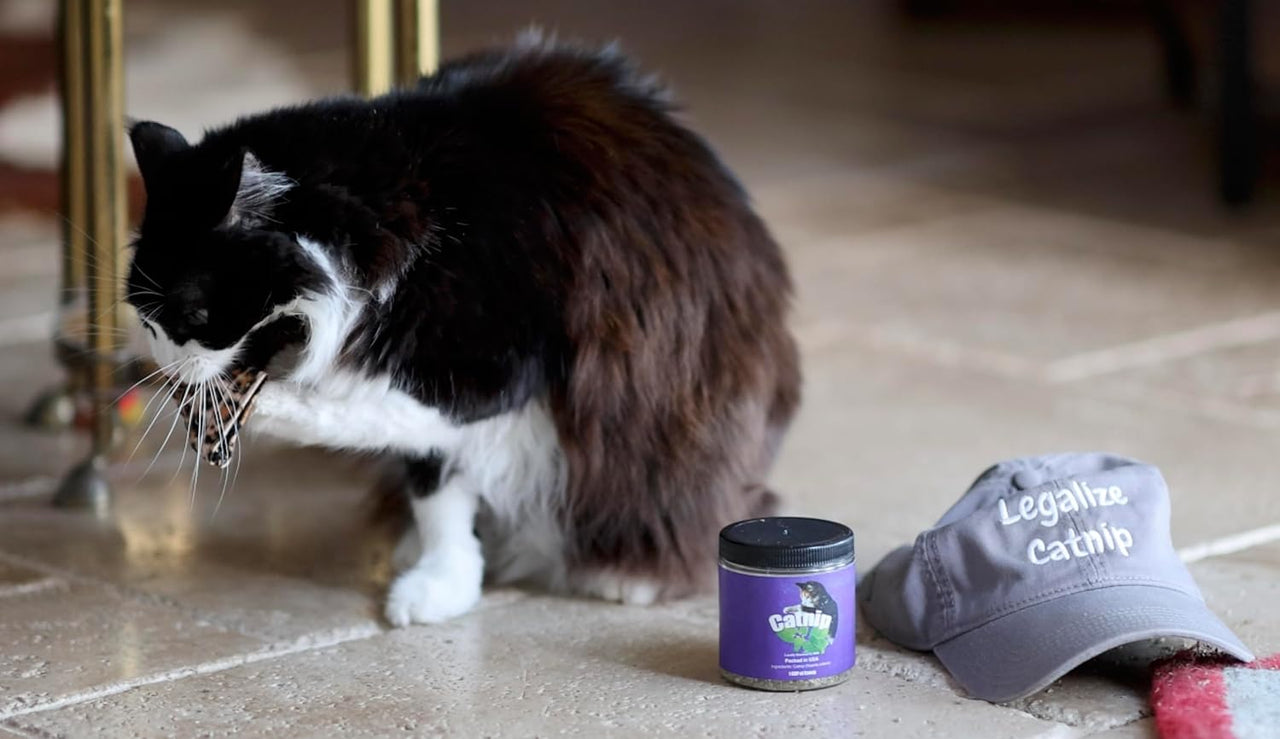 Purrfect Pounce Refillable Cat Toy with Catnip Included - Handmade in The USA, Interactive Leopard Design - Easy Refill Opening