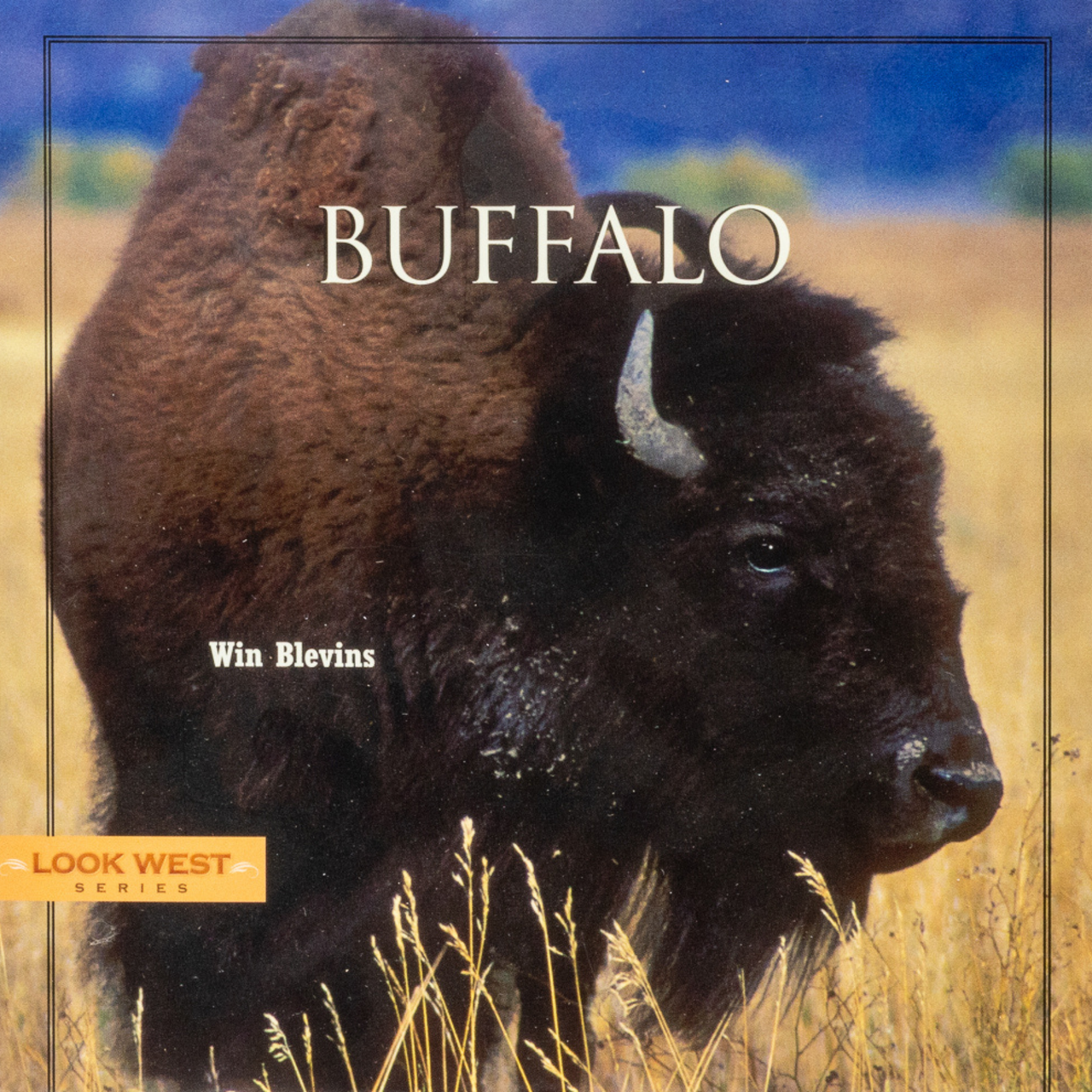 Buffalo Book (Look West Series)