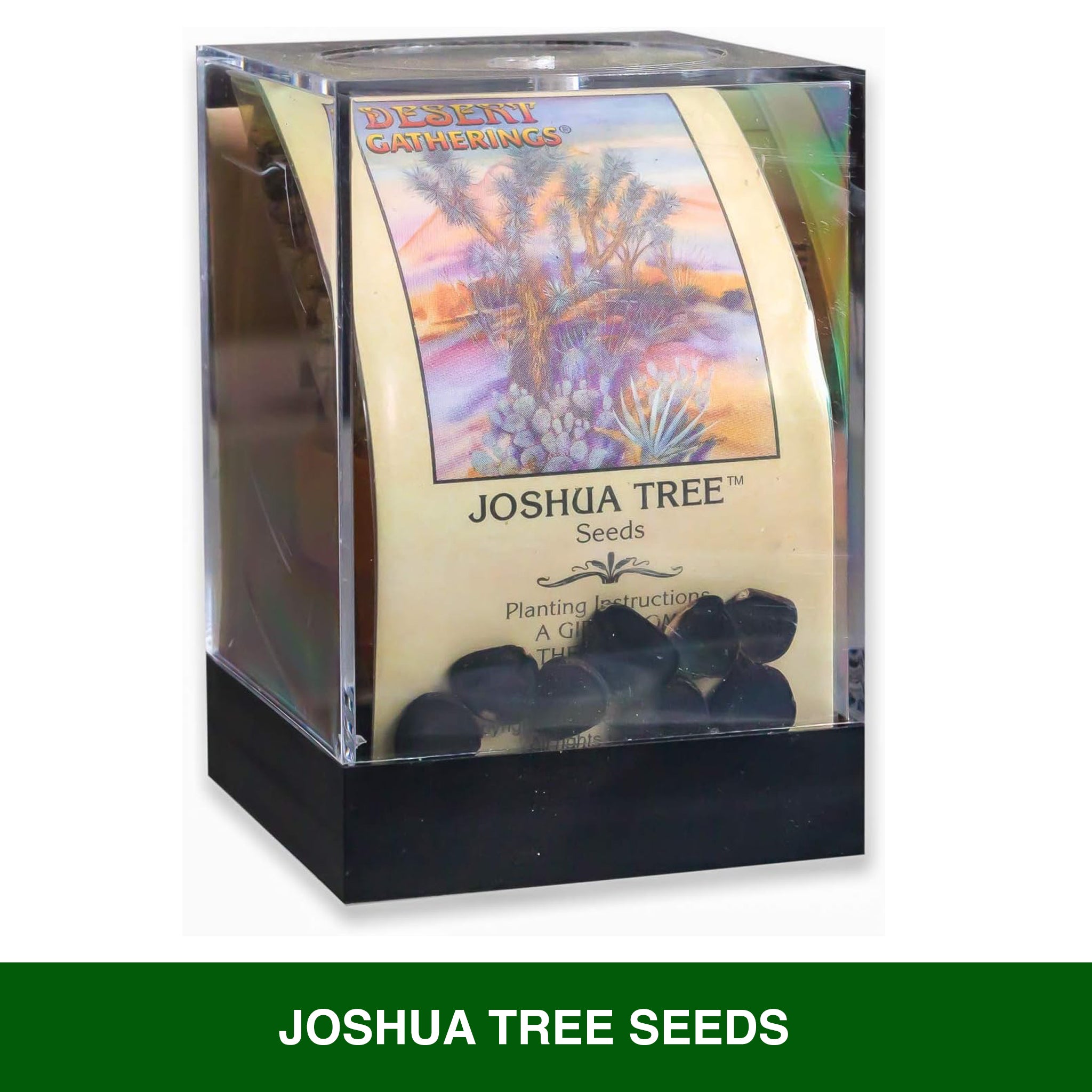planting joshua tree seeds Joshua Tree Seed Incubator Grow Kit