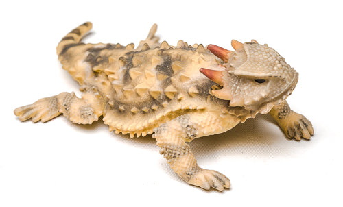 Figurine of a Standard Coastal Horned Lizard, 4"