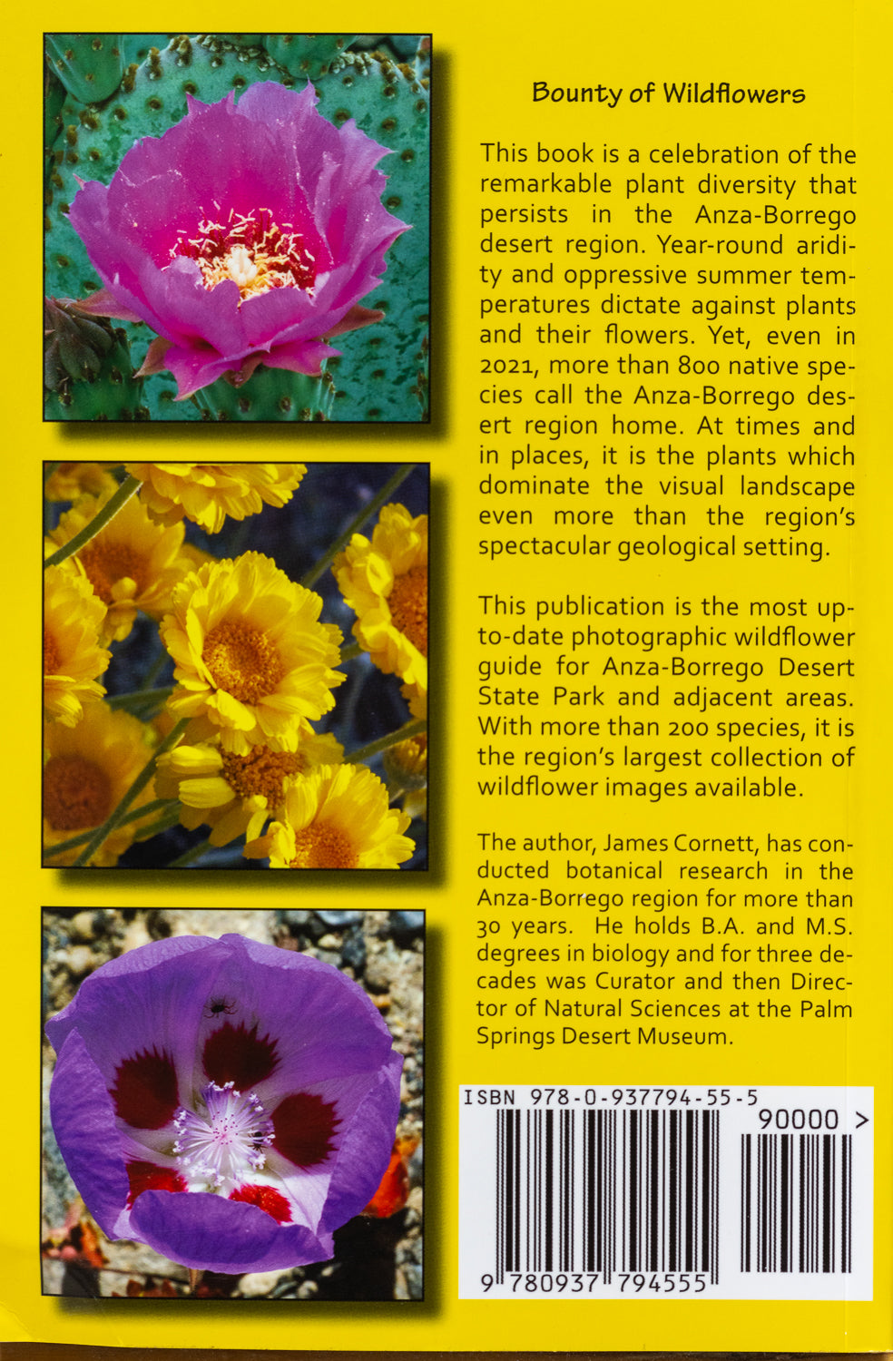 Wildflowers of Anza-Borrego Paperback – January 1, 2020 - James W. Cornett (Author)
