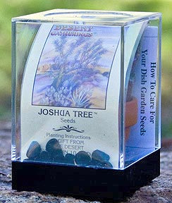 Joshua Tree Seed Incubator Grow Kit