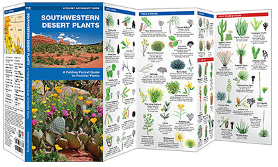 Anza-Borrego Introductory Package