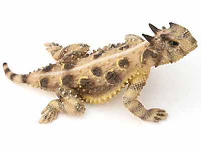 Texas Stretch Horned Lizard, Painted Figurine