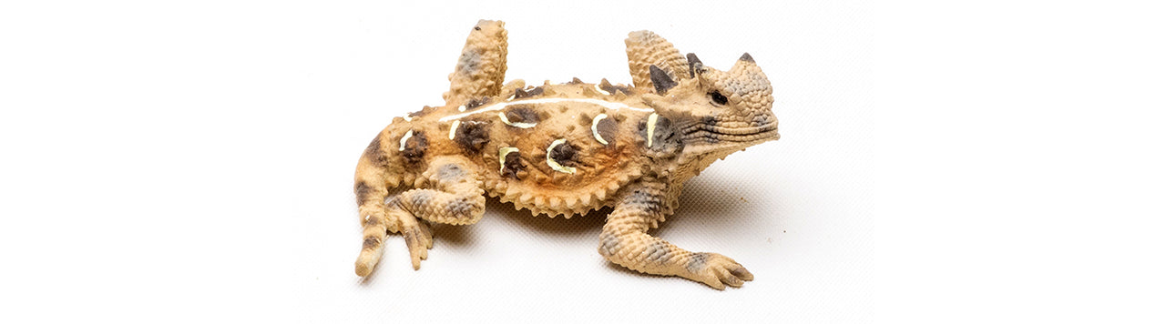 Texas 2" Horned Lizard Painted Figurine