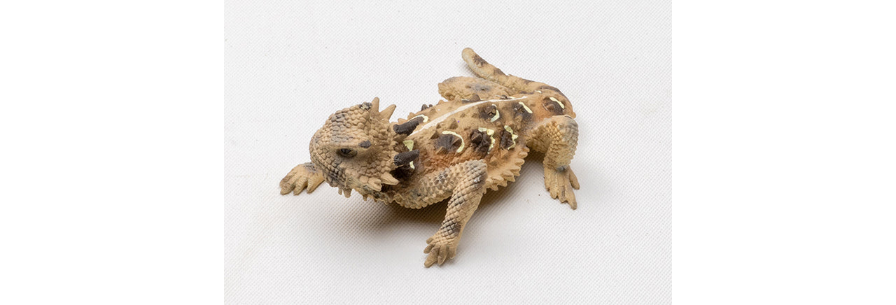Texas 2" Horned Lizard Painted Figurine