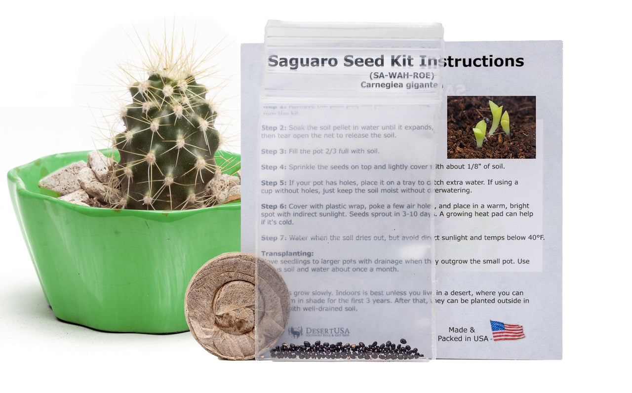 Grow Your Own Saguaro Cactus Kit (Carnegiea gigantea) – Cactus Seeds – Seed Starter Peat Pellets Pods - Southwestern Gift Idea - Seed Growing