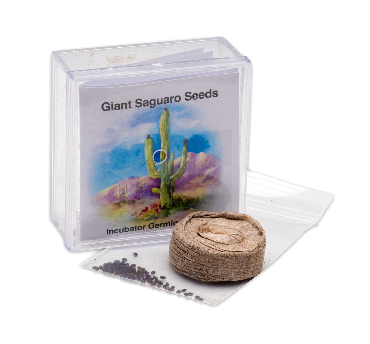 Grow Your Own Saguaro Cactus Incubator Kit – Cactus Seeds – Seed Starter Peat Pellets Pods - Southwestern Gift Idea - Seed Growing