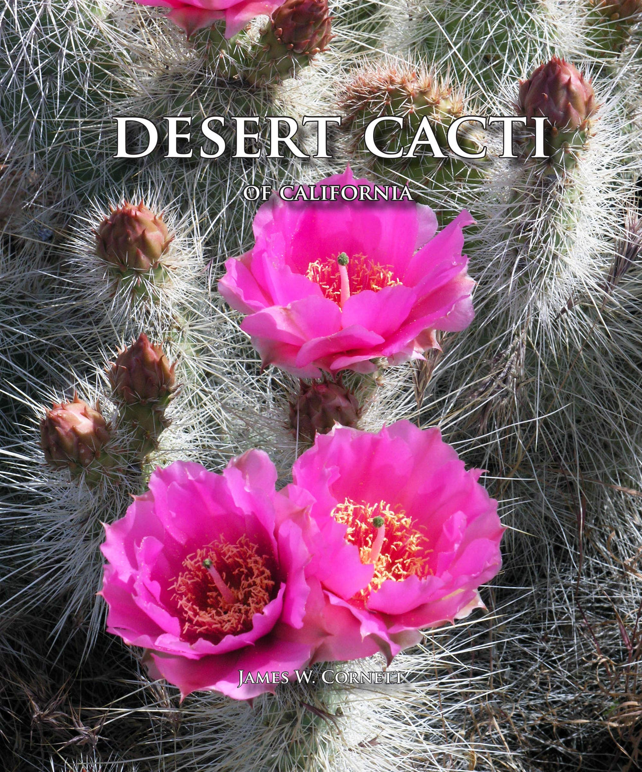 Desert Cacti of California Paperback – January 1, 2019 - by James W. Cornett (Author)