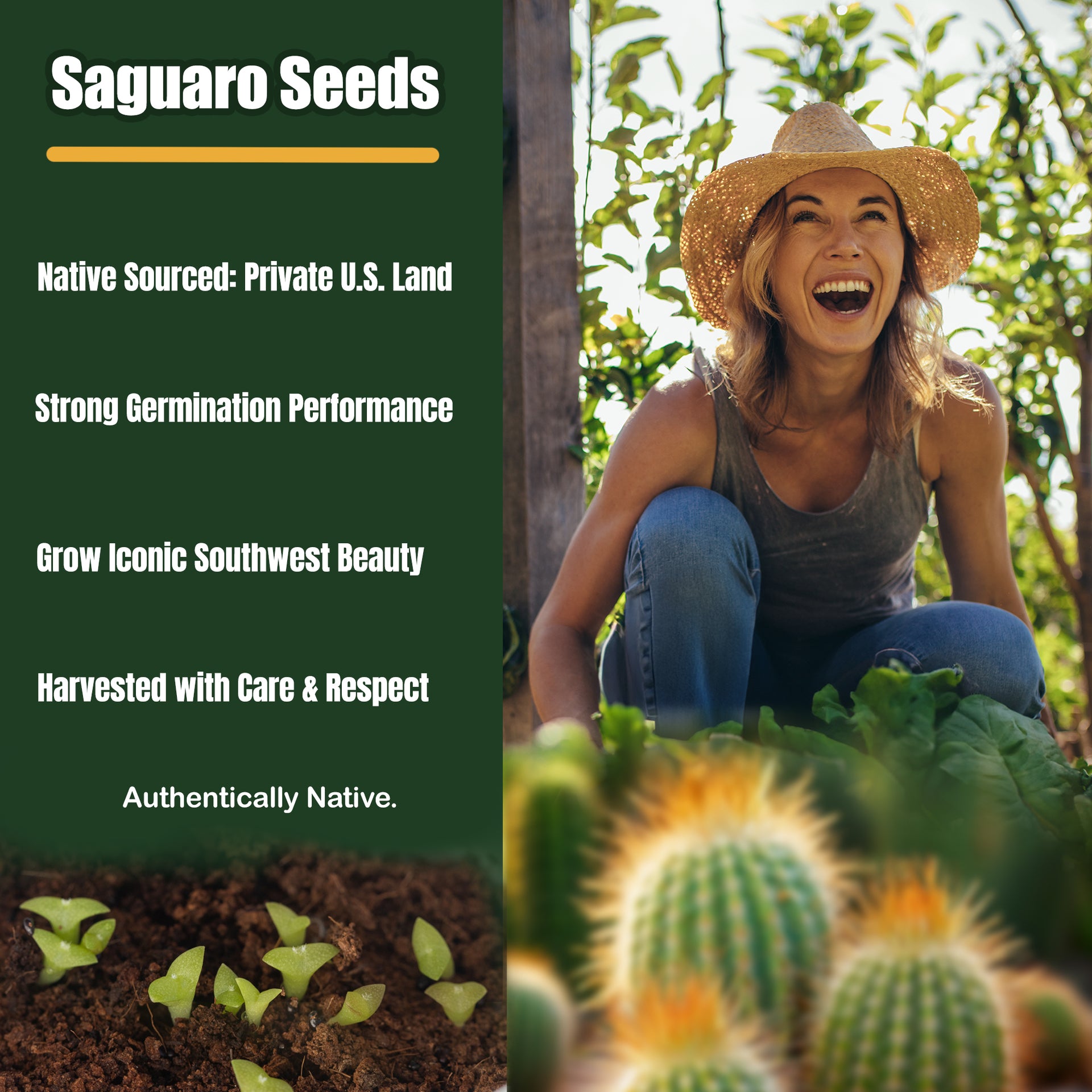 planting saguaro seeds Grow Your Own Saguaro Cactus Incubator Kit – Cactus Seeds – Seed Starter Peat Pellets Pods - Southwestern Gift Idea