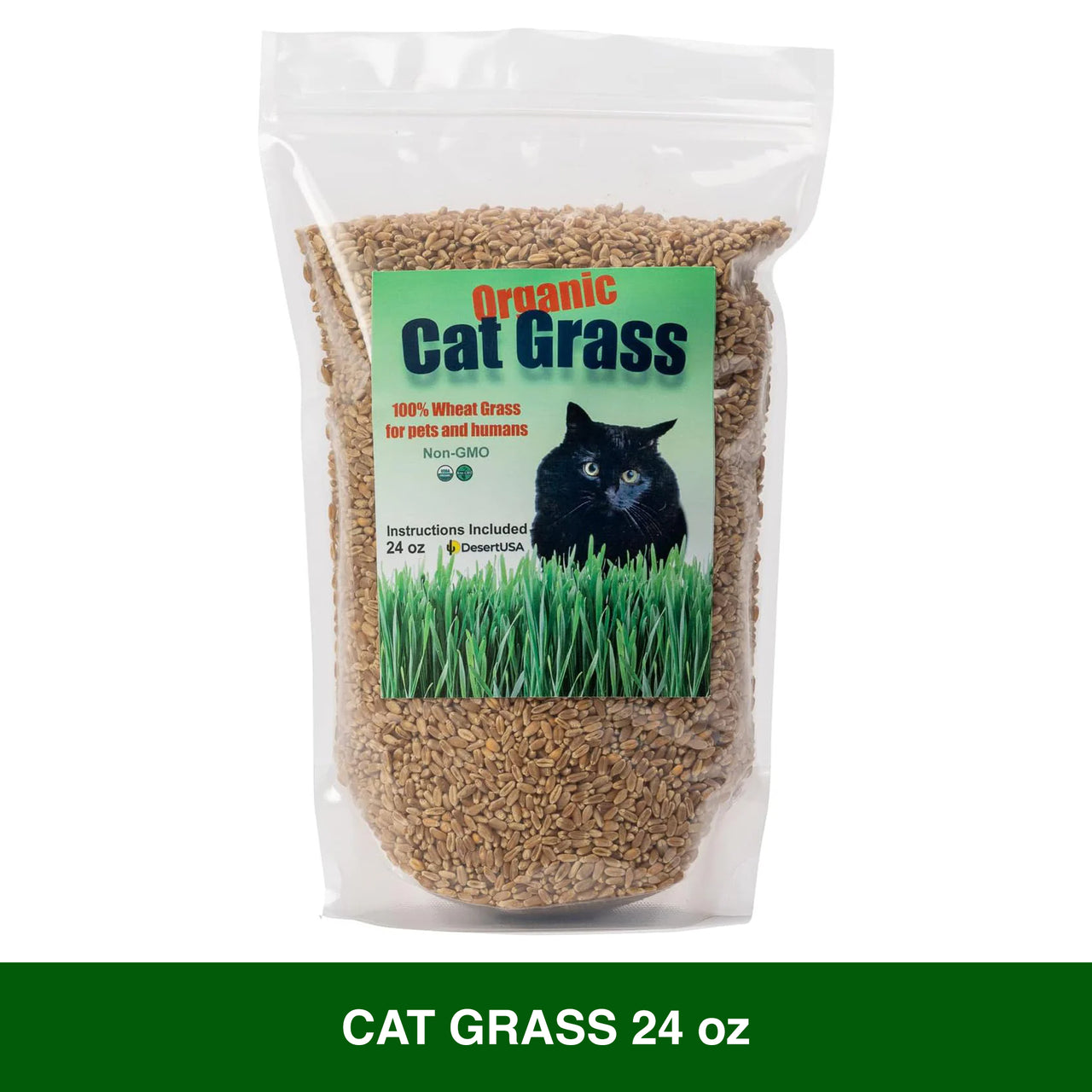 DesertUSA Cat Grass Seeds, Organic Non-GMO Wheatgrass, for Pet or Human Consumption, Instructions for Pets and Humans (24)