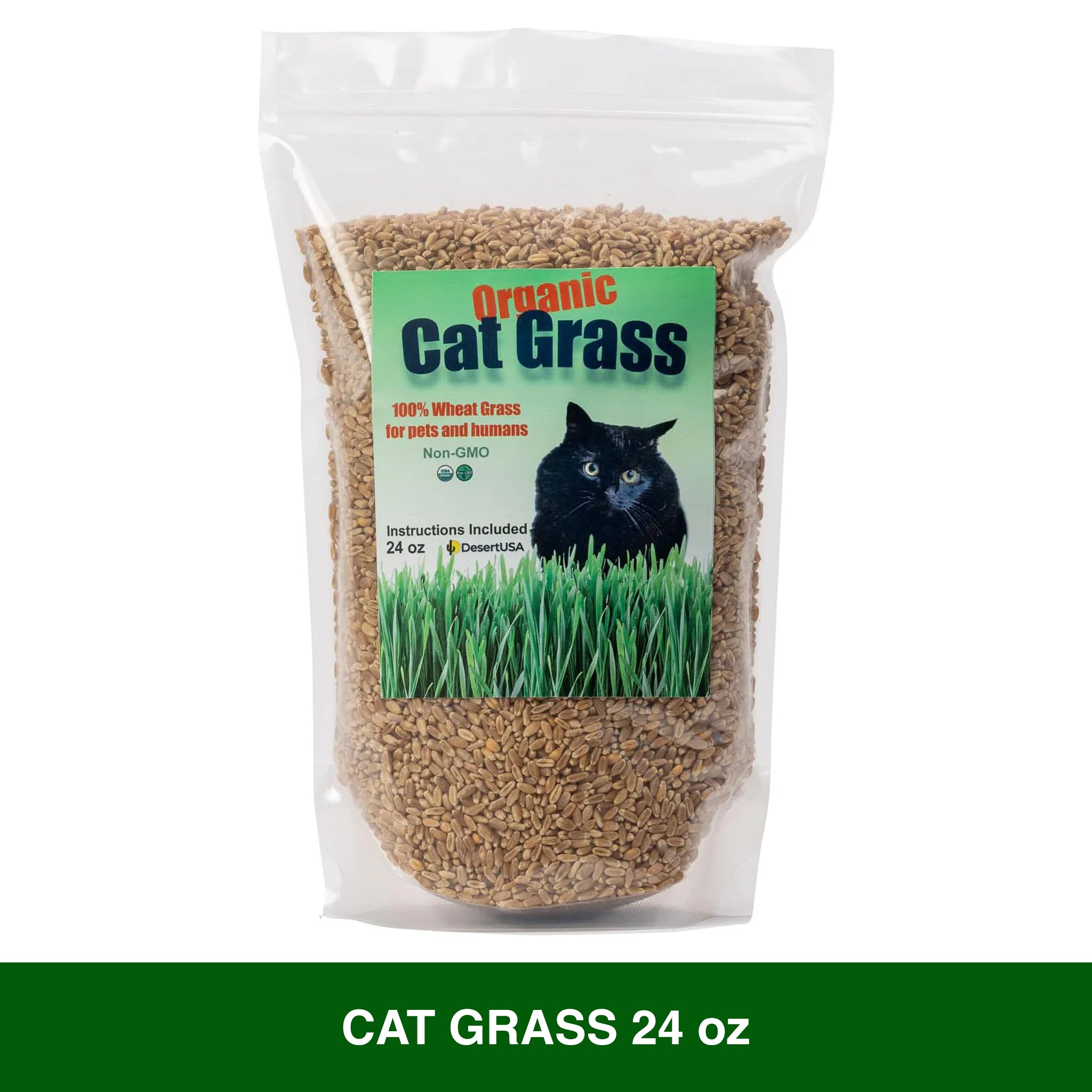 DesertUSA Cat Grass Seeds, Organic Non-GMO Wheatgrass, for Pet or Human Consumption, Instructions for Pets and Humans (24)