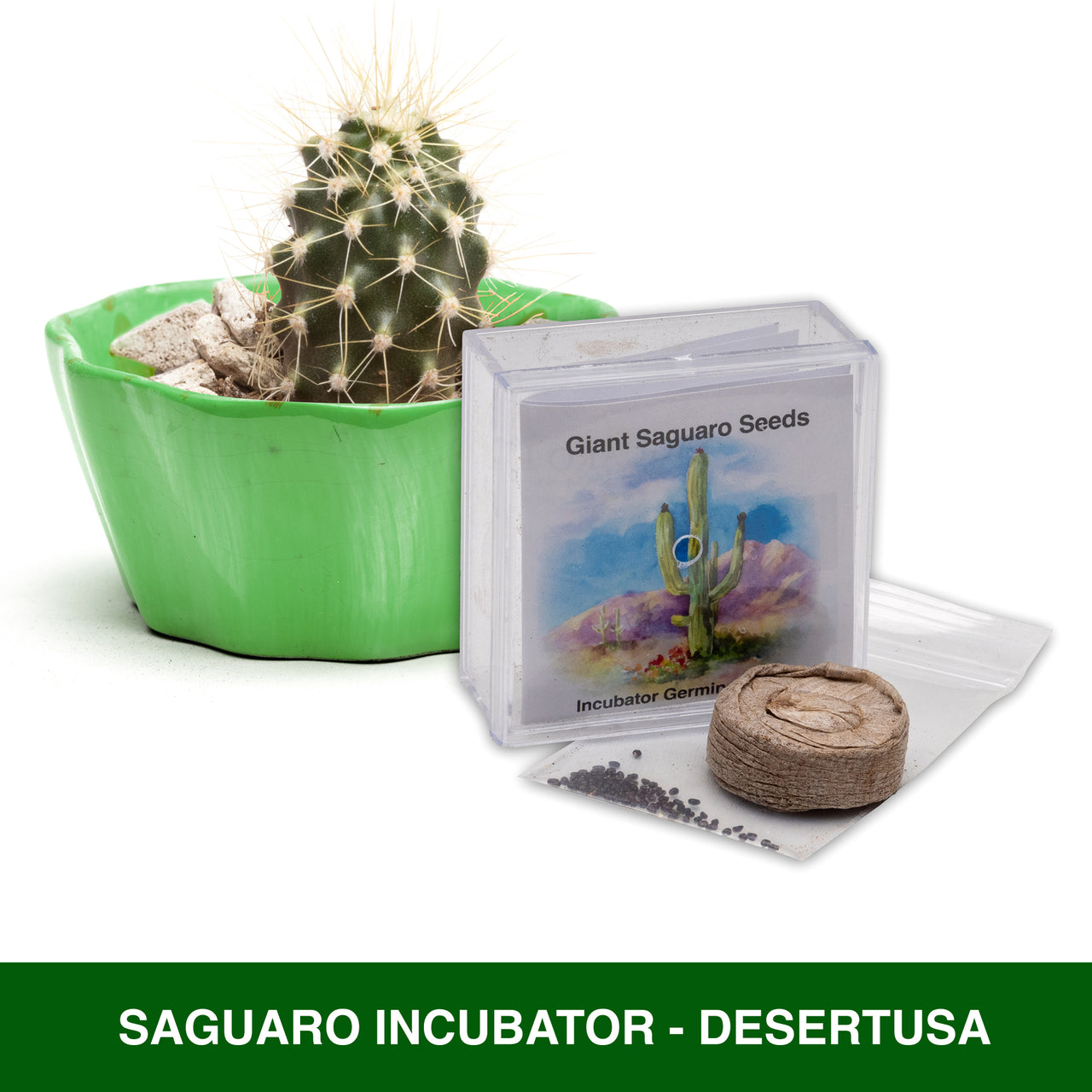 Grow Your Own Saguaro Cactus Incubator Kit – Cactus Seeds – Seed Starter Peat Pellets Pods - Southwestern Gift Idea - Seed Growing
