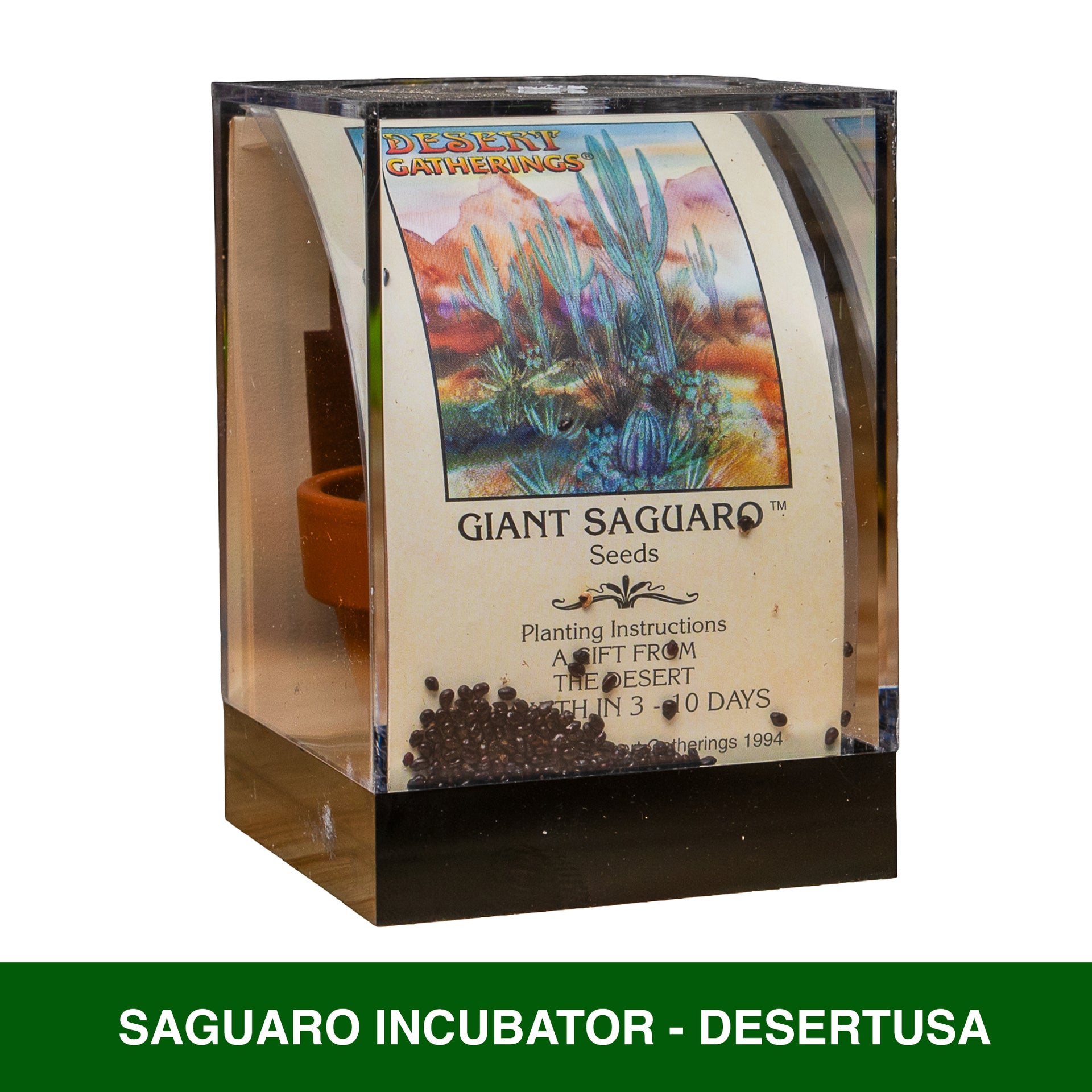 planting saguaro seeds Giant Saguaro Seed Incubator Kit