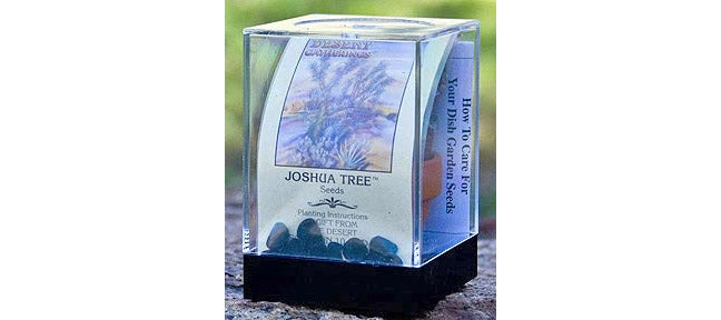 Joshua Tree Seed Incubator Grow Kit
