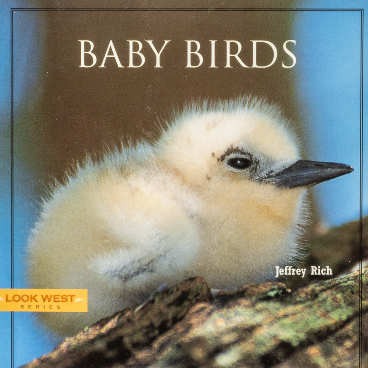 Baby Birds Book (LOOK WEST SERIES)