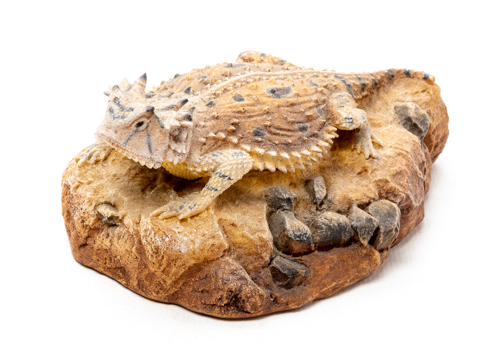 Figurine of a Horney Toad Lizard on Rock Base - 4.25 inches