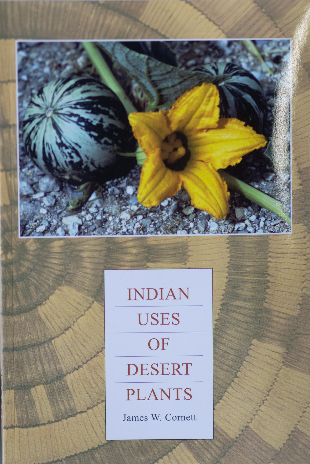 Indian Uses of Desert Plants Book