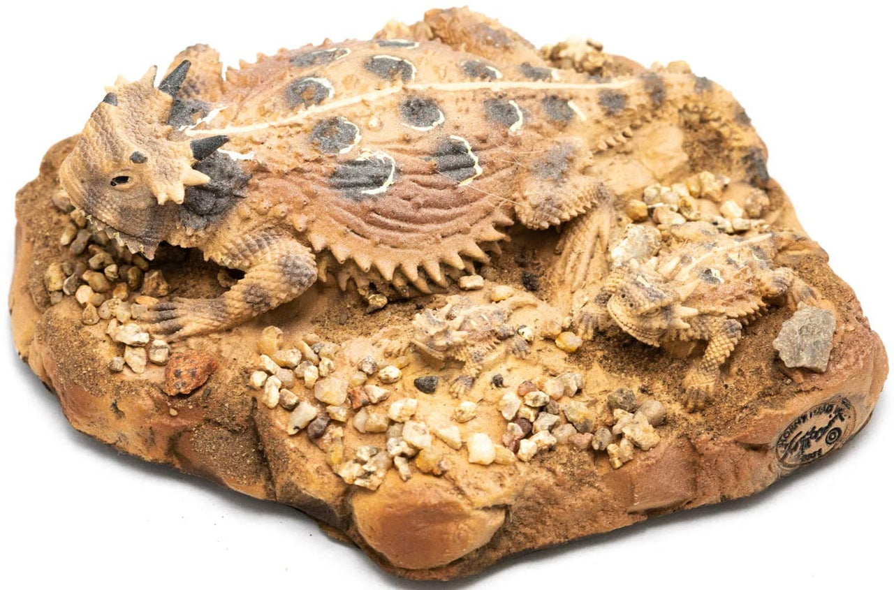 Family of Horney Toad Lizard Figurines on a rock: