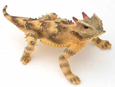 Painted Figurine of a California Horned Lizard, male,  with Tail Out