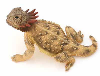 Regal Horned Lizard Painted Figurine 3"