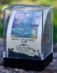Giant Saguaro Seed Incubator Kit