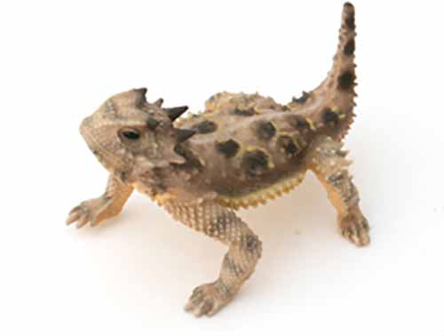 Texas Horned Lizard Figurine, Female with Tail Up