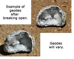Mexican Geodes - Medium Size (1.5 to 2.25 inches) 'Break at Home' Geode Sets - Discover Hidden Crystal Treasures!